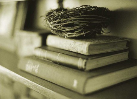 Гнездо на стопке литературы